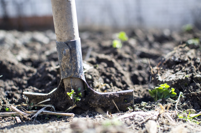 jardinerie-LE CASTELLET-min_equipment-2047314